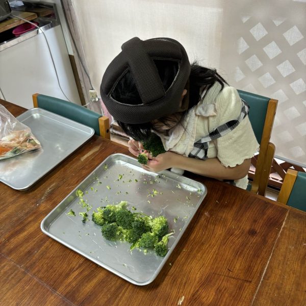 20240918 (20).jpeg