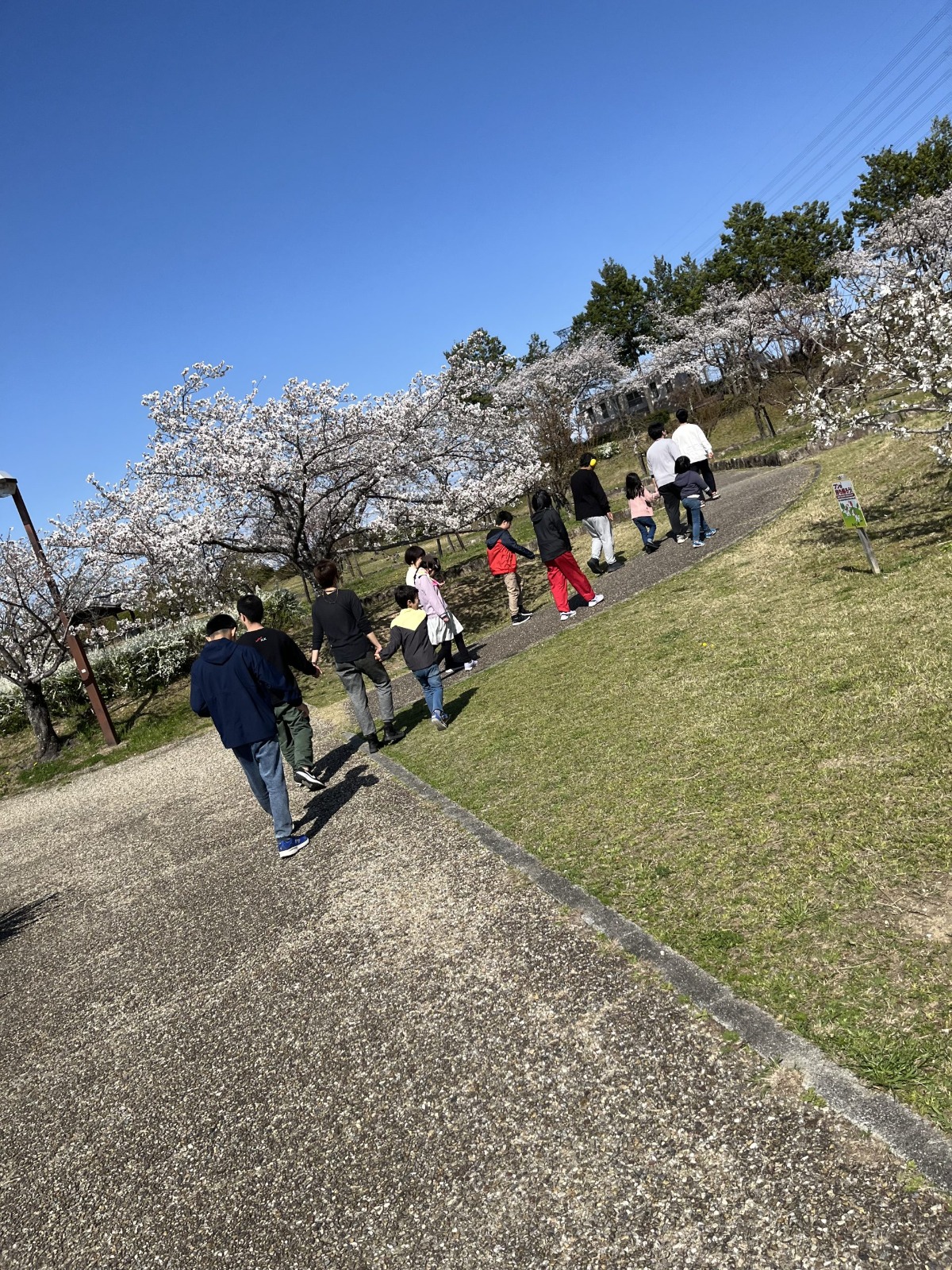 IMG_8330-scaled.jpeg