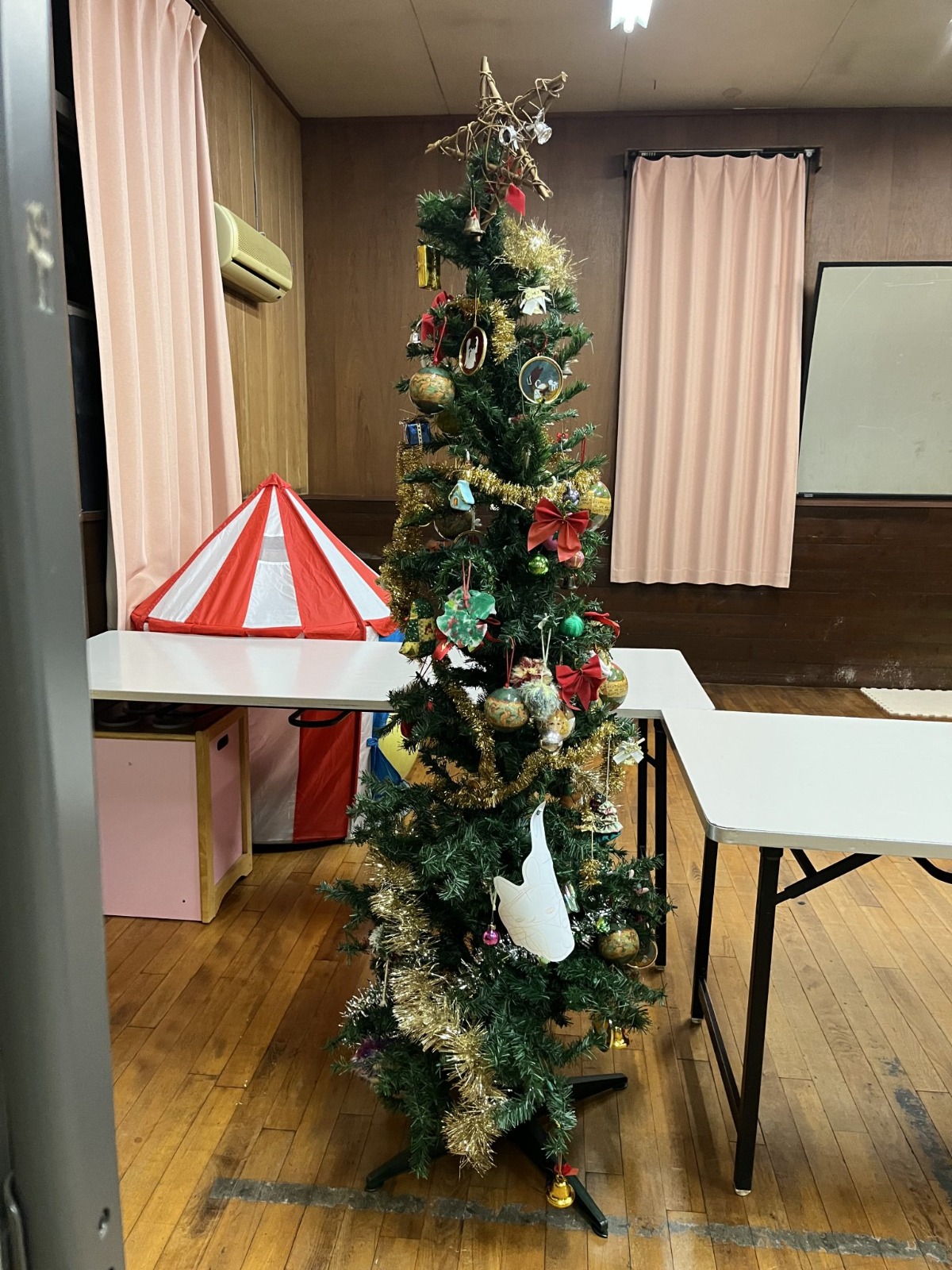IMG_6667-1536x2048.jpeg